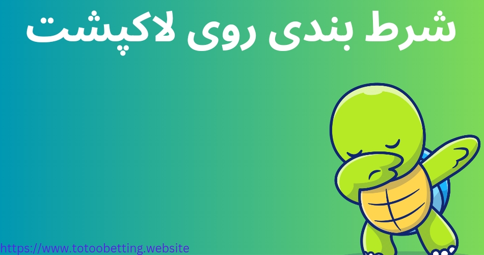 آموزش شرط بندی روی لاک پشت در بهترین سایت ها
