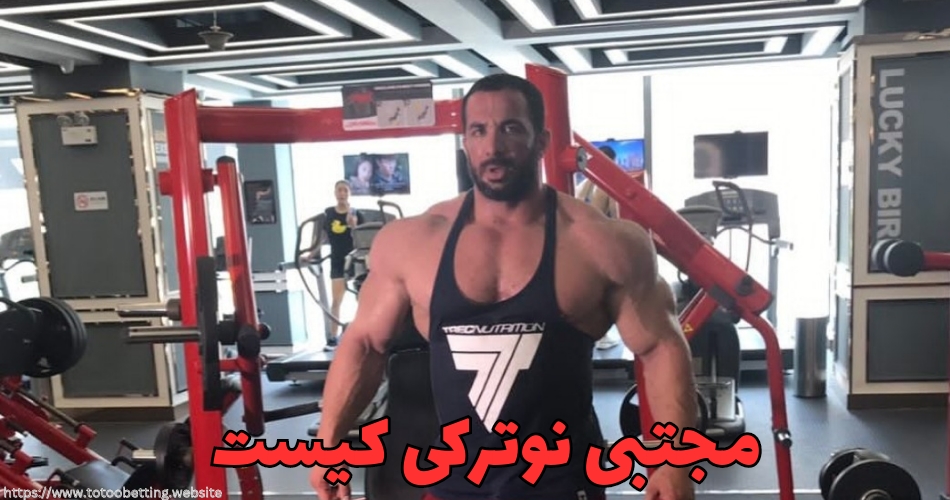 مجتبی نوترکی کیست؟