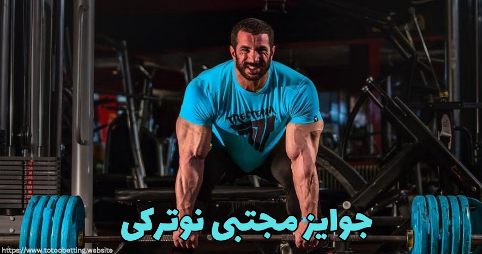 دستاورد ها و جوایز مجتبی نوترکی