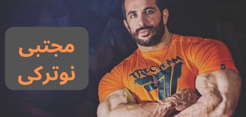 مجتبی نوترکی