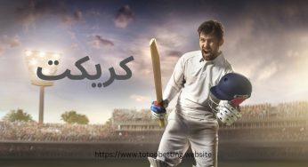 راهنمای شرط بندی روی کریکت به همراه معرفی سایت