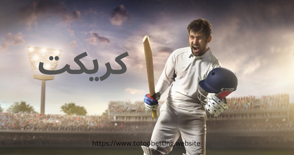 راهنمای شرط بندی روی کریکت به همراه معرفی سایت
